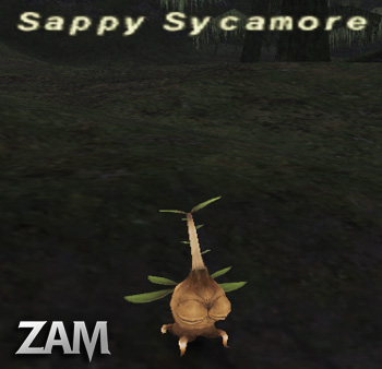 Sappy Sycamore Picture