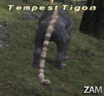 Tempest Tigon Picture