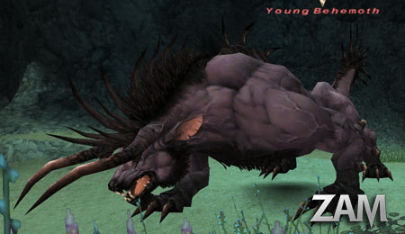 Young Behemoth Picture