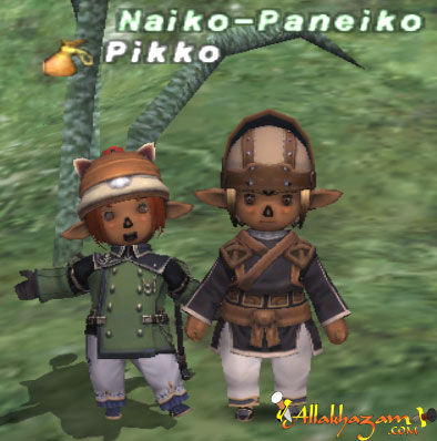 Naiko-Paneiko (S) Picture