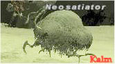 Neosatiator Picture