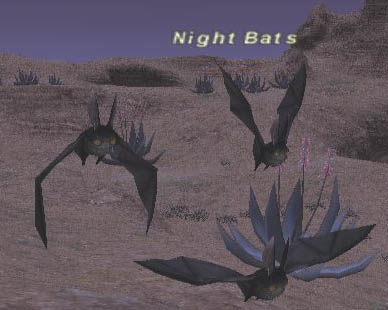 Night Bats Picture