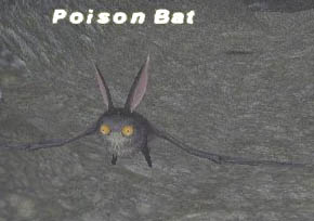 Poison Bat Picture