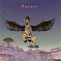 Raven Picture