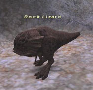 Rock Lizard Picture