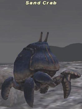 Sand Crab (Fished) Picture