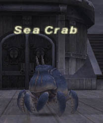 Sea Crab Picture