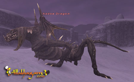 Shadow Dragon Picture