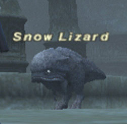 Snow Lizard Picture