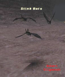 Stink Bats Picture