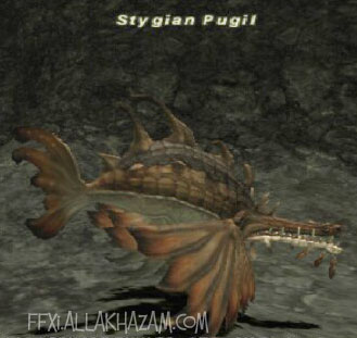 Stygian Pugil (Fished) Picture