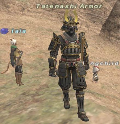 Tatenashi Armor Picture