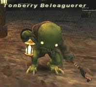 Tonberry Beleaguerer Picture