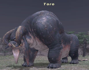 Toro Picture