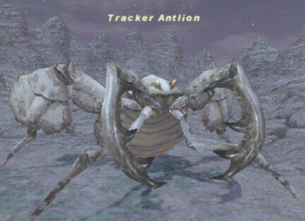 Tracker Antlion Picture