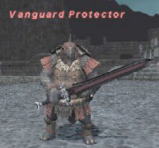 Vanguard Protector Picture