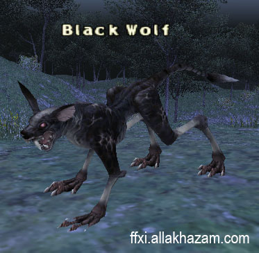 Black Wolf Picture