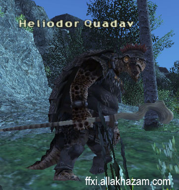 Heliodor Quadav Picture