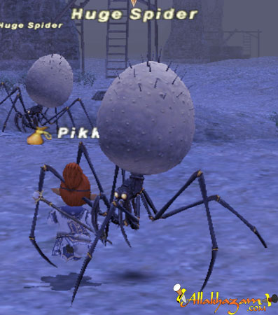 Huge Spider Picture