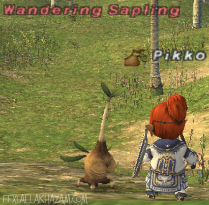 Wandering Sapling Picture