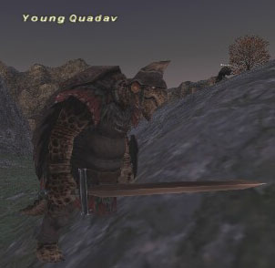 Young Quadav Picture
