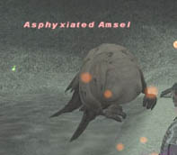 Asphyxiated Amsel Picture