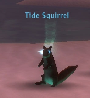 Tide Squirrel