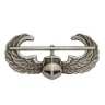 Thumbnail of Air Assault Badge