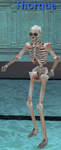 Visage of a Paineel Skeleton Guard :: Items :: EverQuest :: ZAM