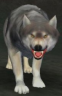 Race: Wolf 