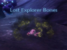 Lost Explorer Bones