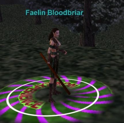 Faelin Bloodbriar EverQuest ZAM   4ff82cbd56070450ed9f6c7e458f11e5 