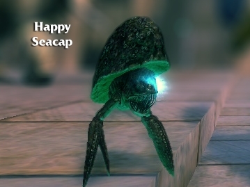 The oddly named Happy Seacap Companion - see how happy he is?
