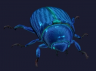 blue termite