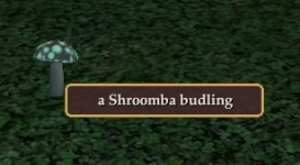 A Shroomba budling.
