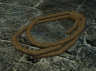 a coil of rope