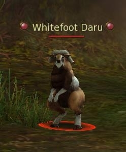 Whitefoot Daru