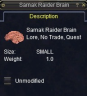 Thumbnail of Sarnak Raider Brain item window 2016