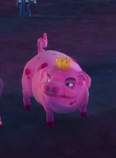 Percy the pig