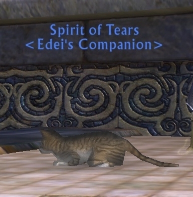 Spirit of Tears companion pet