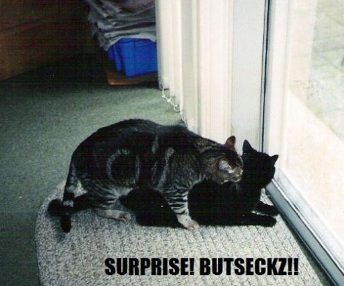 Surprise!  Butseckz!!