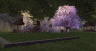 Thumbnail of In front of one of my houses: Hobbit Hollow, 102 Park Circle, Cedar Country Meadows, Zek