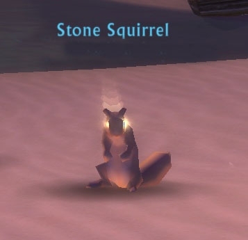 Stone Squirrel Companion
