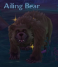 Ailing Bear