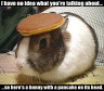 Thumbnail of Pancake bunny