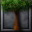 Autumn Elm Tree icon