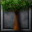 Elm Tree icon