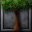 Four Elm Trees icon