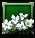 Issuriel's Elanor Blossom icon