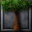 Shire Oak Tree icon